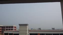 Blk 925 Tampines Street 91 (Tampines), HDB 3 Rooms #94001392